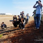 Εικόνες 3: Ο Τρυγγίτης προσέλκυσε το ενδιαφέρον πολλών παρατηρητών πουλιών που έσπευσαν στο Διεθνή Αερολιμένα Αθηνών για να τον δουν και απαθανατίσουν από κοντά. (Φωτ.: Γιάννης Βλατσιώτης/ ΔΑΑ)